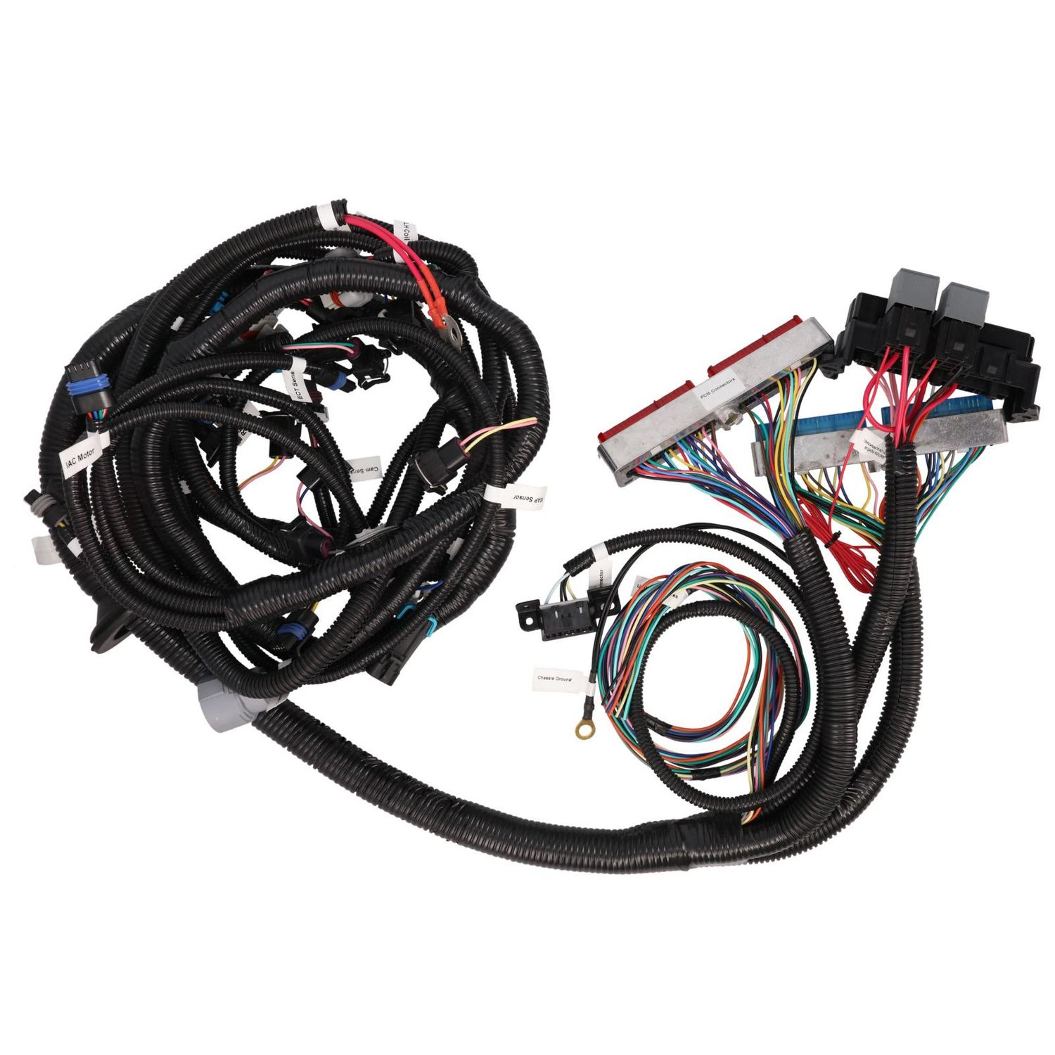 Top Street Performance Engine Wiring Harness WH1201