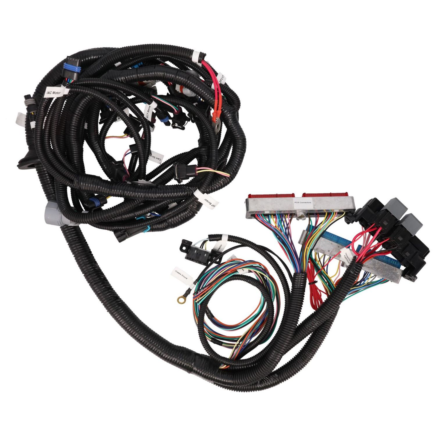 Top Street Performance Engine Wiring Harness WH1201