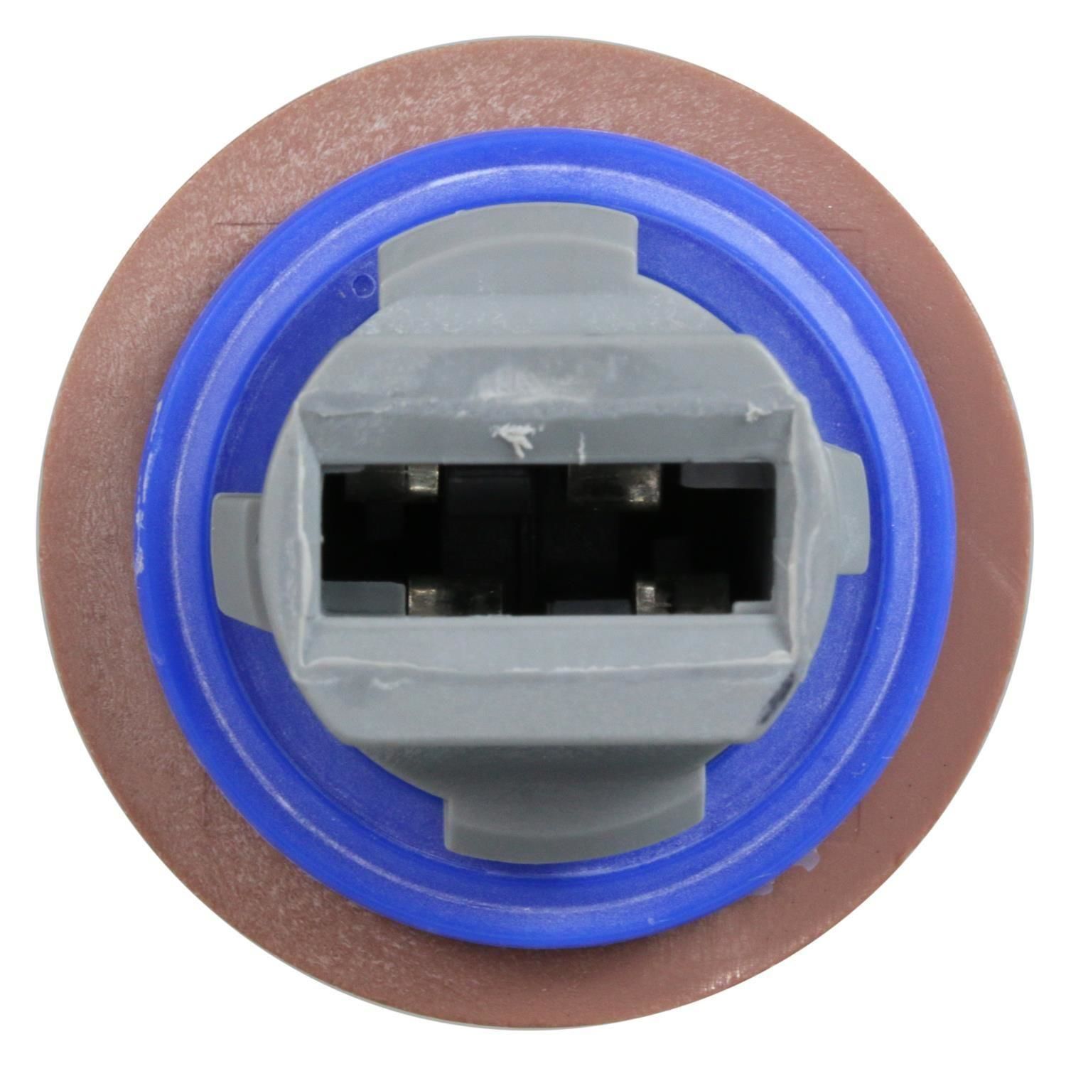 テッド 6316-top.jpg