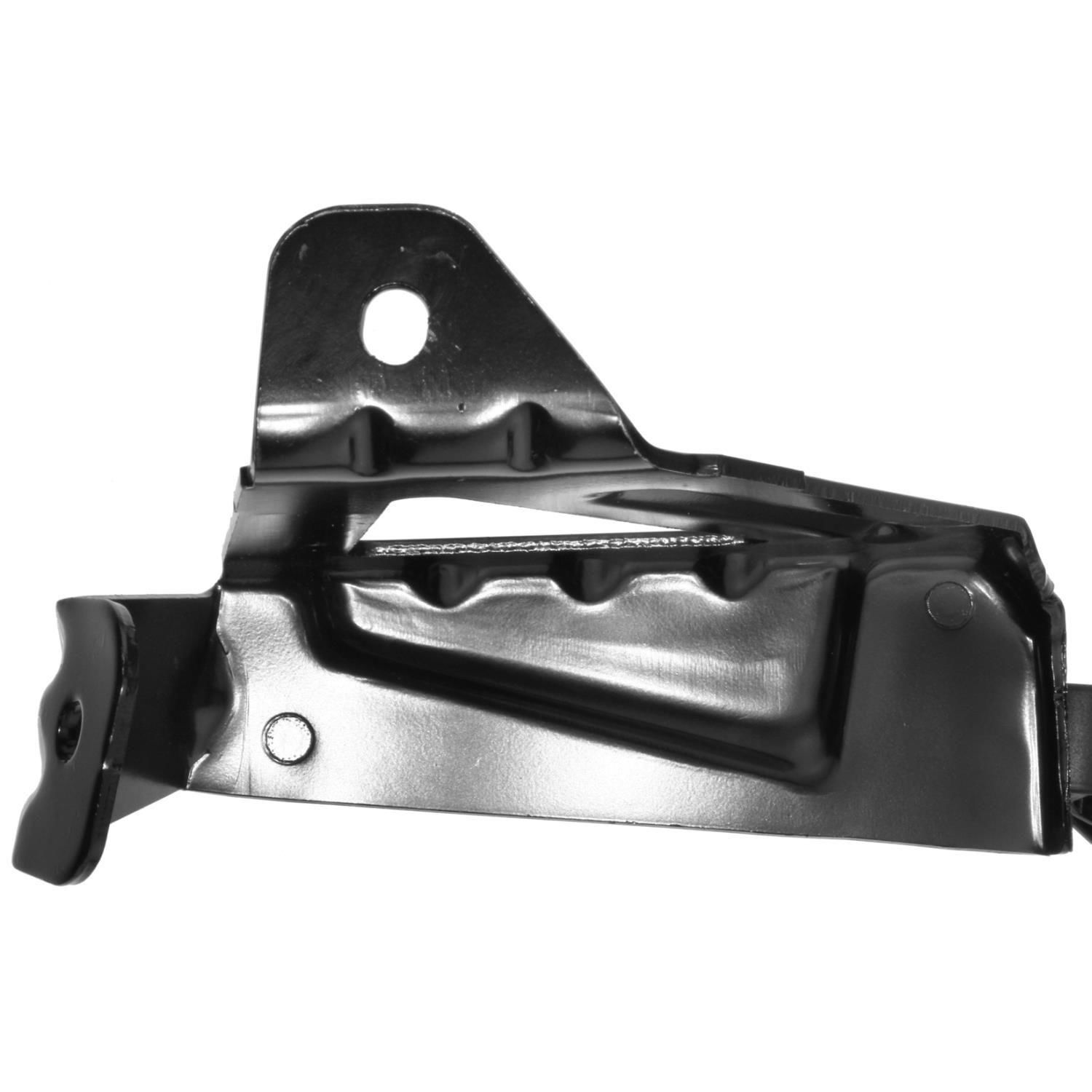 ズルズル GALE SPEED ACTIVE アクティブ ゲイルスピード スプロケット