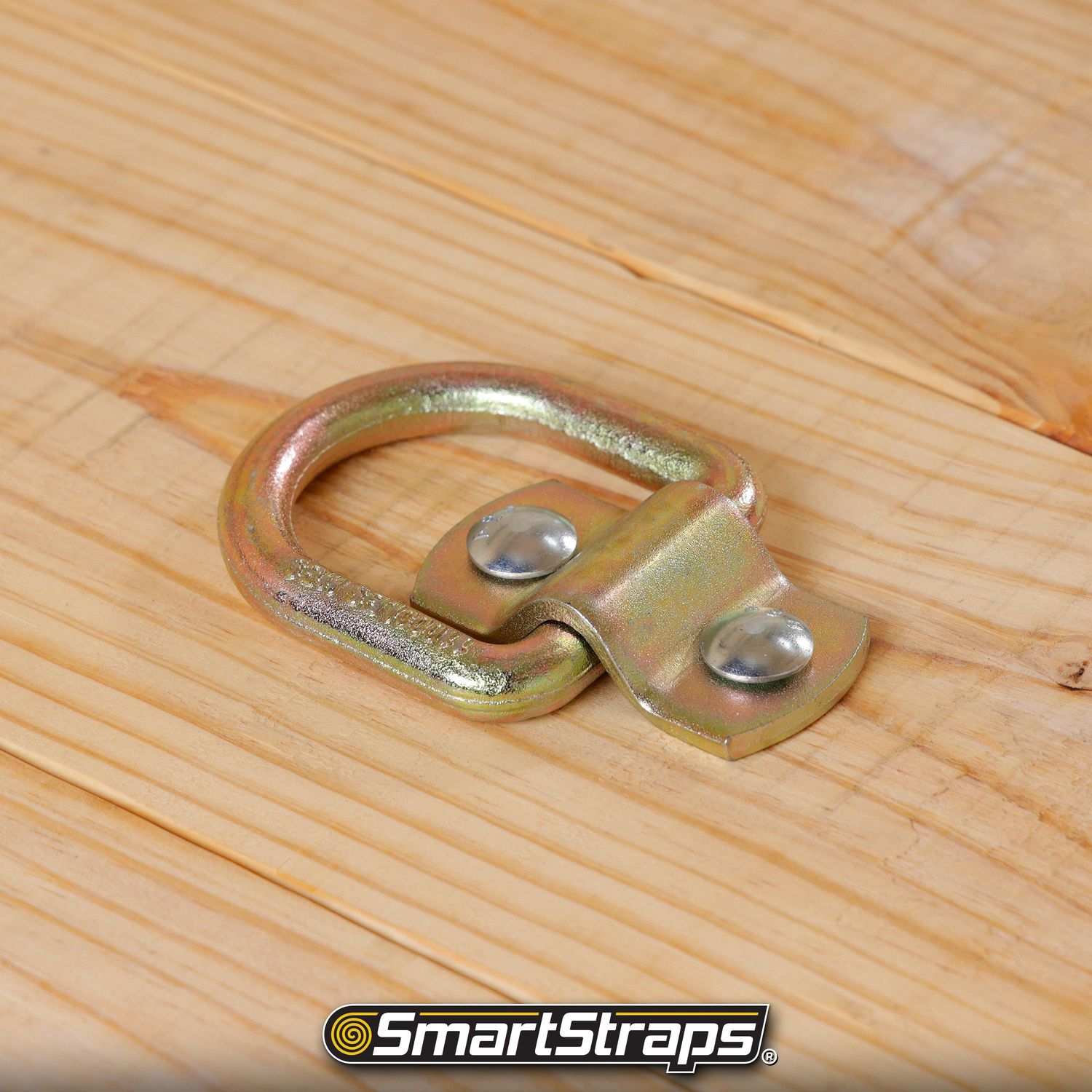 CargoSmart HD Surface D Ring