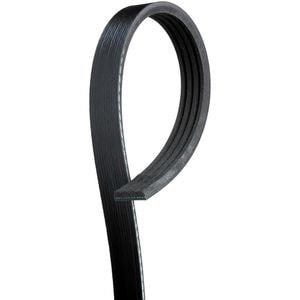 ACDelco Belt 12576447