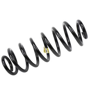 GM Genuine Parts Coil Spring 25783731