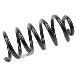 GM Genuine Parts Coil Spring 25876861