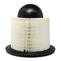 ACDelco Air Filter A1517C for 2001 Ford F150