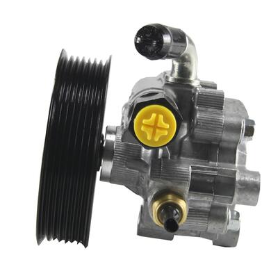 Duralast New Power Steering Pump AAE5587N