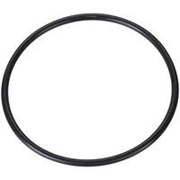 Spectra Premium Fuel Tank Lock Ring LO194