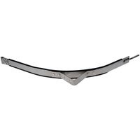 Spectra Premium Fuel Tank Strap ST565