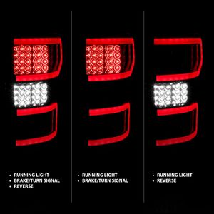 2019 Ford F150 Tail Light Assembly