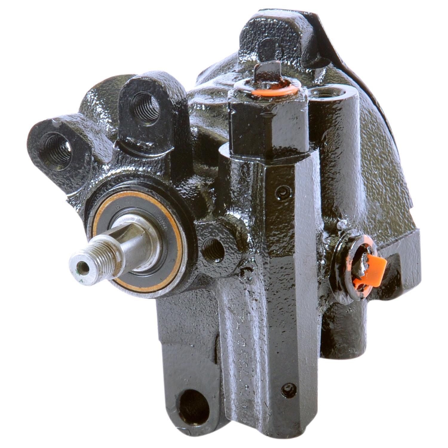 Endurance Power Steering Pump 5173