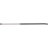 Mighty Lift Lift Support B95022 for Honda Civic