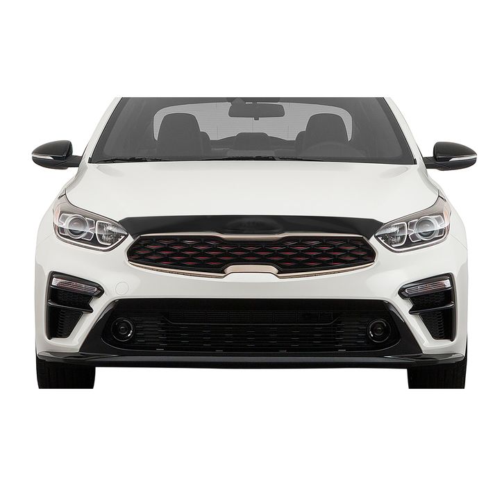 Kia forte hood deals deflector