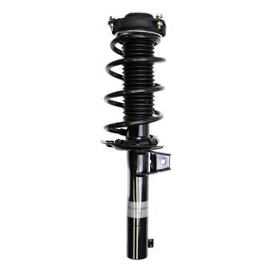 Duralast Suspension Strut and Coil Spring Assembly LS33-80841B