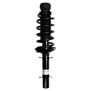 ステラー Duralast Suspension Strut and Coil Spring Assembly LS33-81171B