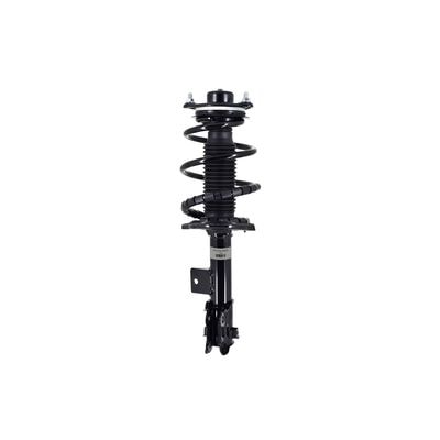 Duralast Loaded Strut and Coil Spring Assembly LS34-86451L