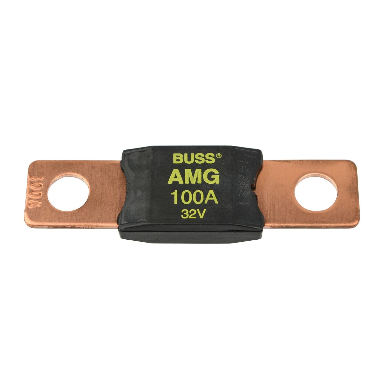 Bussmann Fuse AMG100