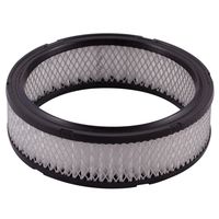 STP Air Filter SA3647 for Buick