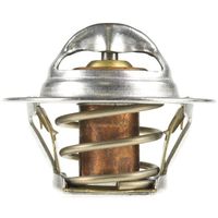 Failsafe Thermostat 7202-160 for Opel