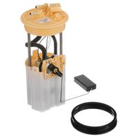 Delphi Fuel Pump DFG1687