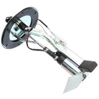 Delphi Fuel Pump DHP10208