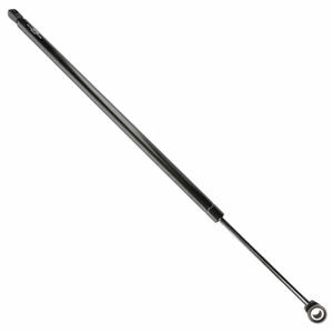 Duralast Liftgate Lift Support DL10304E