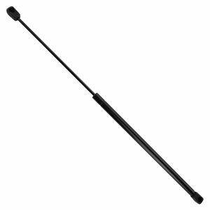 Duralast Hood Lift Support DL10329E