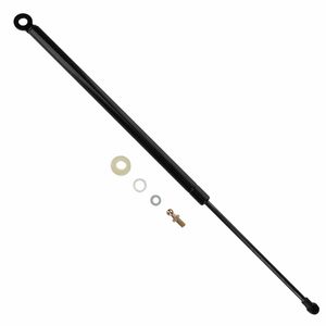 Duralast Liftgate Lift Support DL10394D for BMW 325i