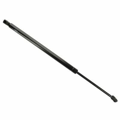 Duralast Liftgate Lift Support DL10576D