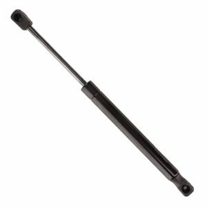 Duralast Liftgate Lift Support DL10955D for BMW 325i