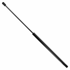 Duralast Liftgate Lift Support DL12001C for BMW 325i