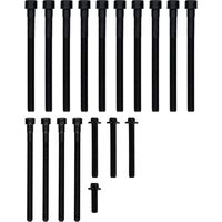 Victor Reinz Head Bolt Set 14-32309-02 for BMW 335i