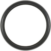 Victor Reinz Thermostat Gasket 71-13563-00 for Ford Focus