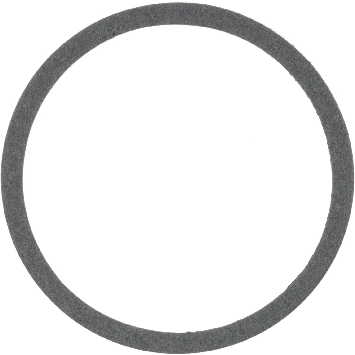 Victor Reinz Air Cleaner Mounting Gasket 711381400