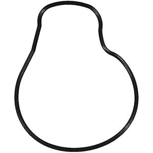 Victor Reinz Water Pump Gasket 71-15577-00 for Honda Accord