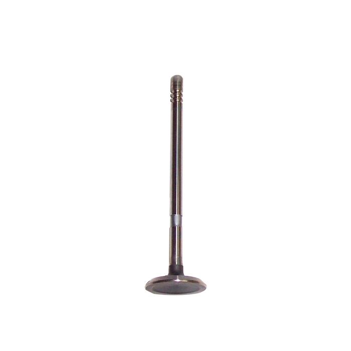 DNJ Engine Exhaust Valve EV151
