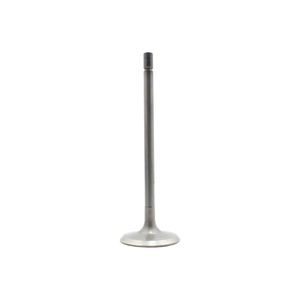 DNJ Engine Exhaust Valve EV619