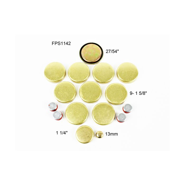 DNJ Engine Expansion Plug Kit FPS1142