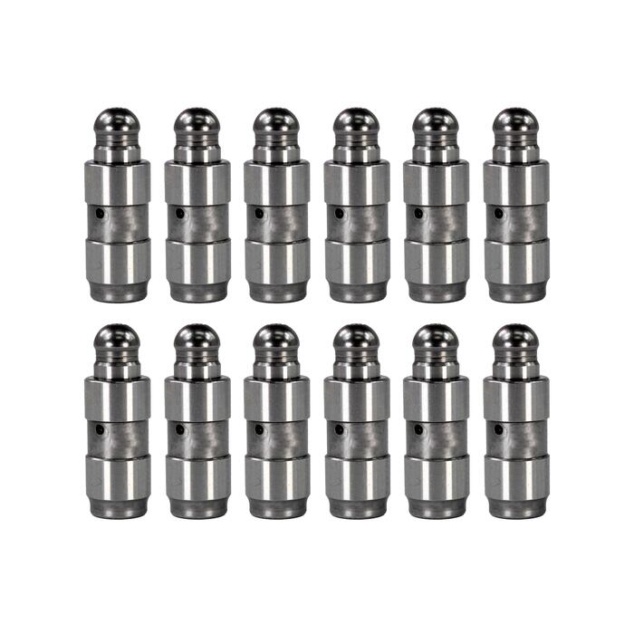 DNJ Engine Valve Lifter Kit LFK12834
