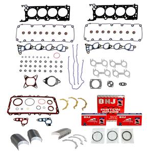 DNJ Engine Re-Ring Kit RRK4147