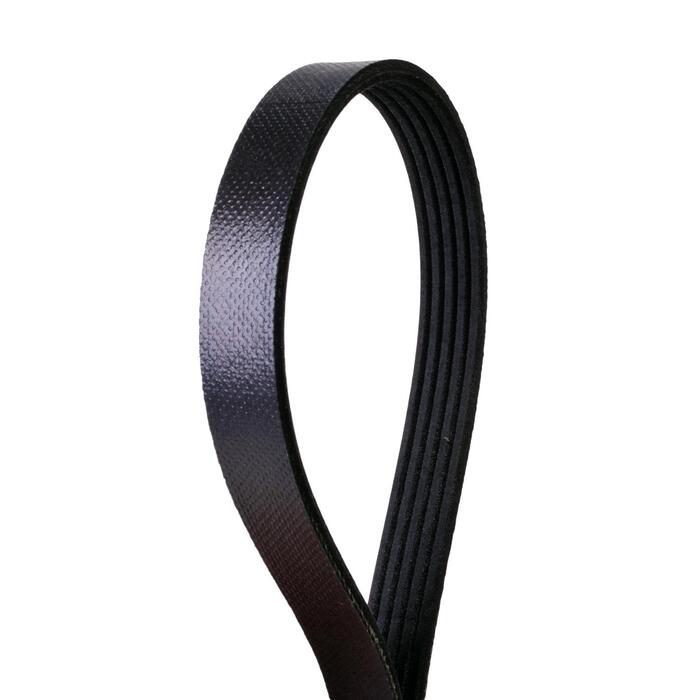 Duralast Belt 513K5