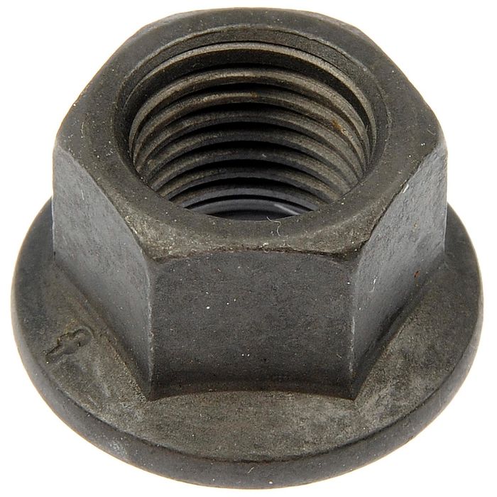 Amazon.com: Dorman 611-076 Wheel Nut M12-1.25 Acorn - 19mm