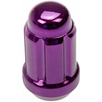Dorman Wheel Nut Lock 20 Piece 711-255J