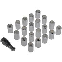 Dorman Wheel Lock Key Locking Lug Nuts 21 Piece 711-342