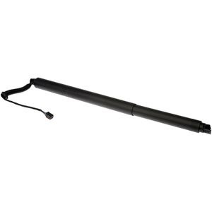 Dorman Lift Support 747-054