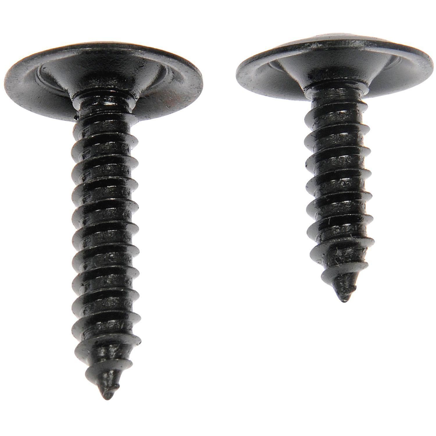 Dorman No. 10, 3/4in. 1in Black Trim Screw Assortment