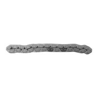 SA Gear Oil Pump Drive Chain C-718F