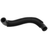 Duralast Lower Radiator Hose C91467 for Mazda