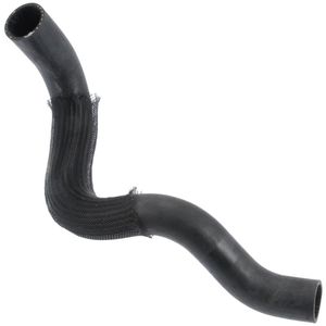 Duralast Radiator Coolant Hose E71991