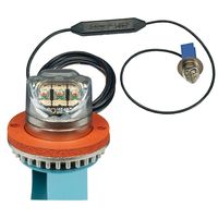 Ecco Clear 2-Bolt Directional LED Light