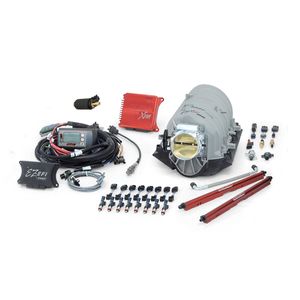 FAST Fuel Injection System 302003L